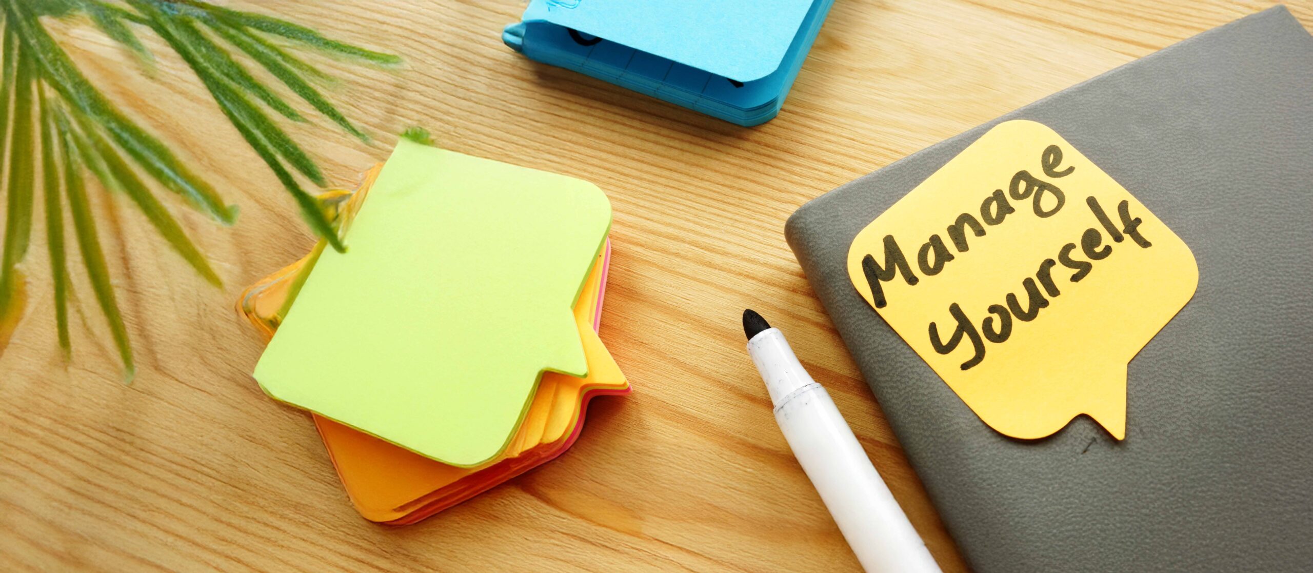 Selbstführung - Gute Führung beginnt bei uns selbst